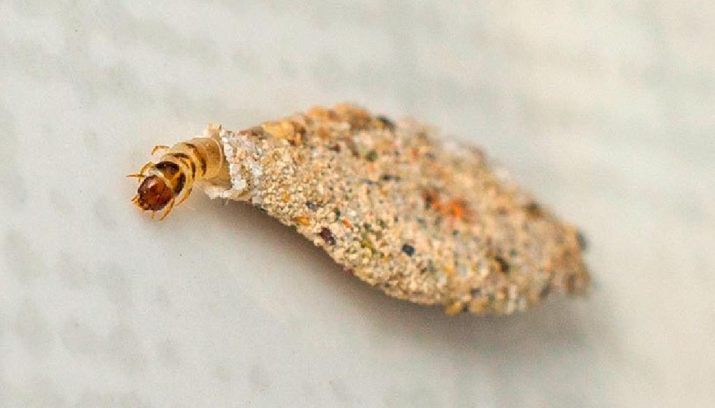 180820161056410000000