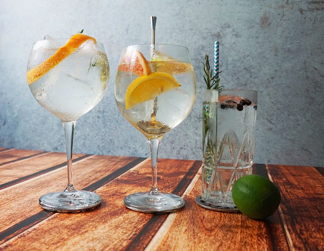 gin-tonic-4468653_640