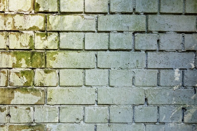 brick-wall-3194516_640
